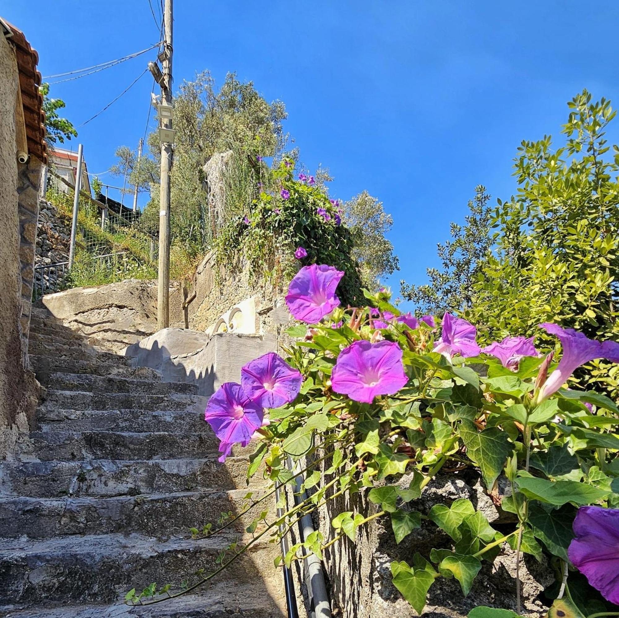 Villa Ines Maiori Exteriér fotografie